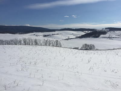 winter farm scene